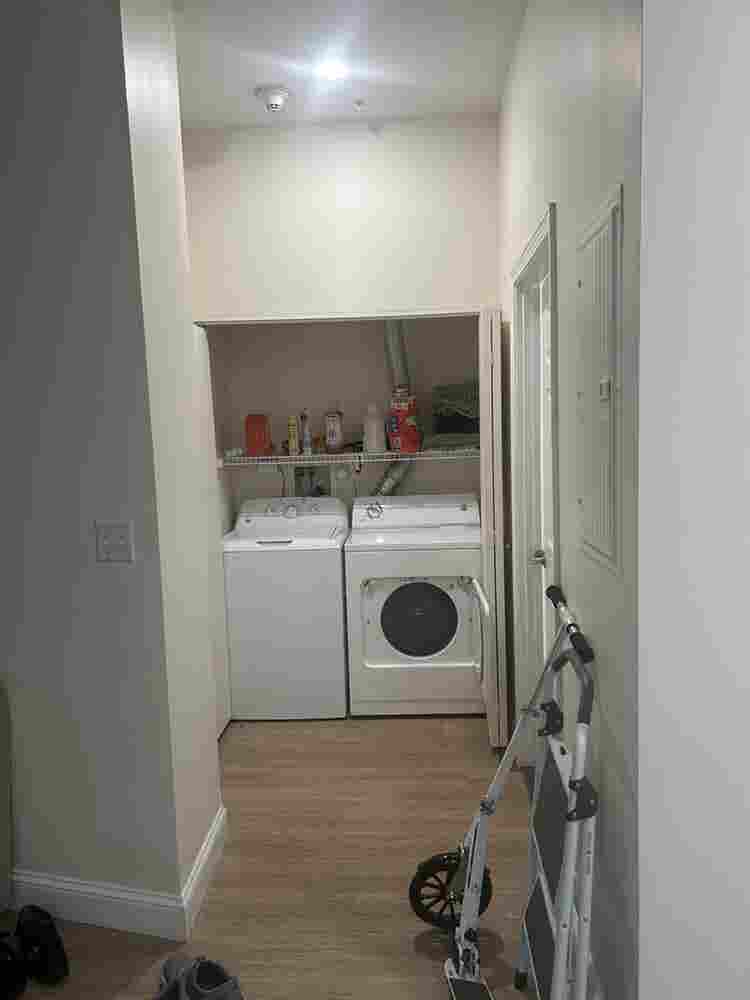 Looking for a roommate