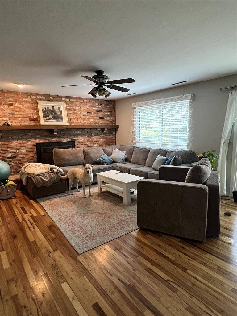 Roommate(s) Wanted