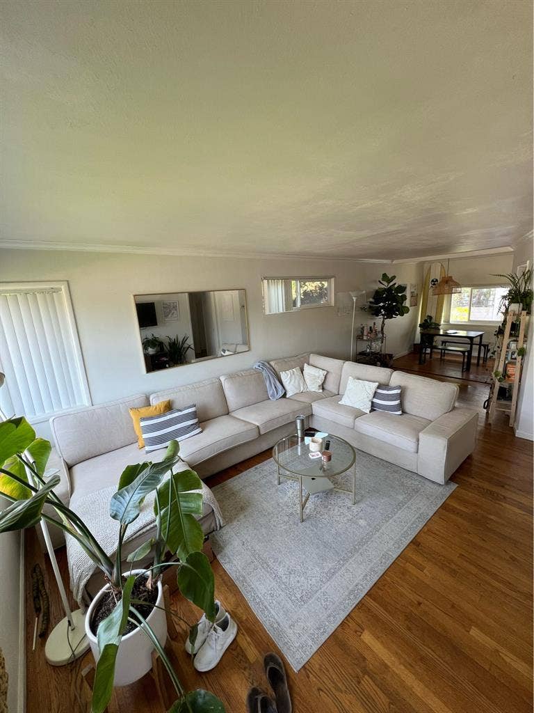 PB Room for Rent!