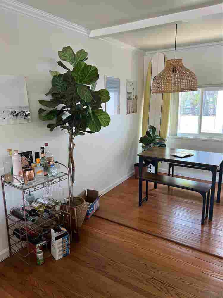 PB Room for Rent!