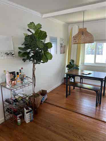 PB Room for Rent!