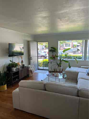PB Room for Rent!