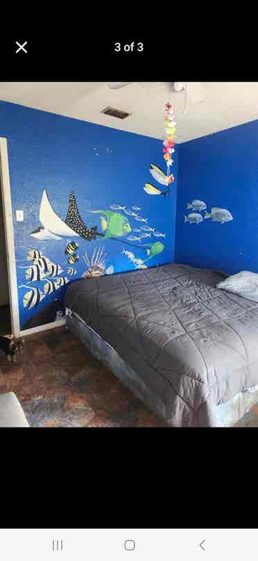 Room available