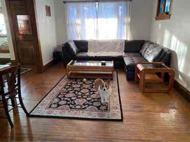 Room for Rent in Shared House