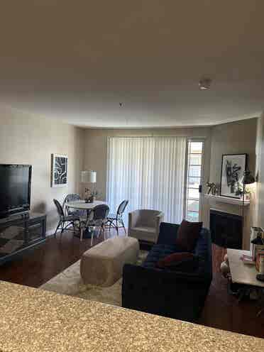 Furnished, Spacious, and Lux