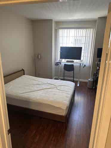 Furnished, Spacious, and Lux