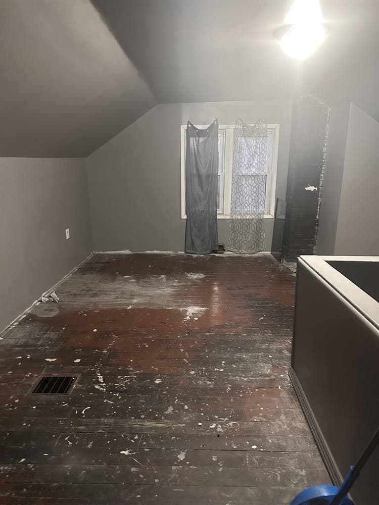 Looking for a roommate