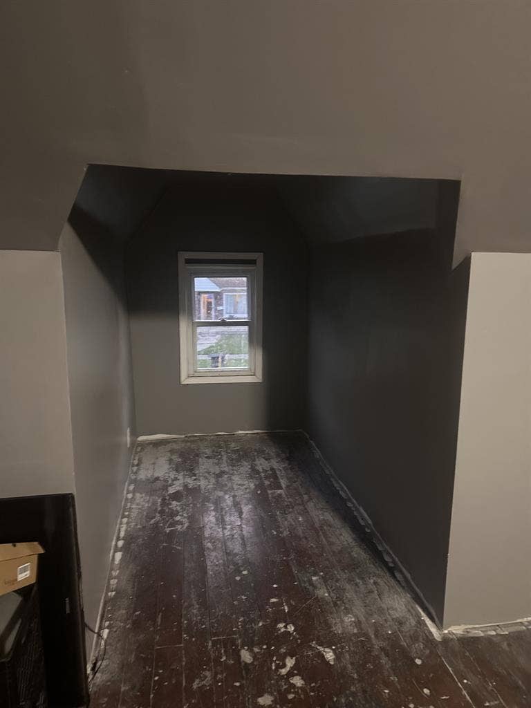 Looking for a roommate
