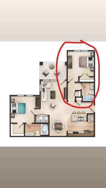 Looking for a Roommate!