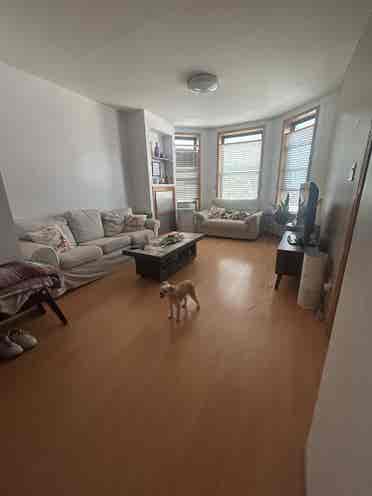 looking for a roommate for sept