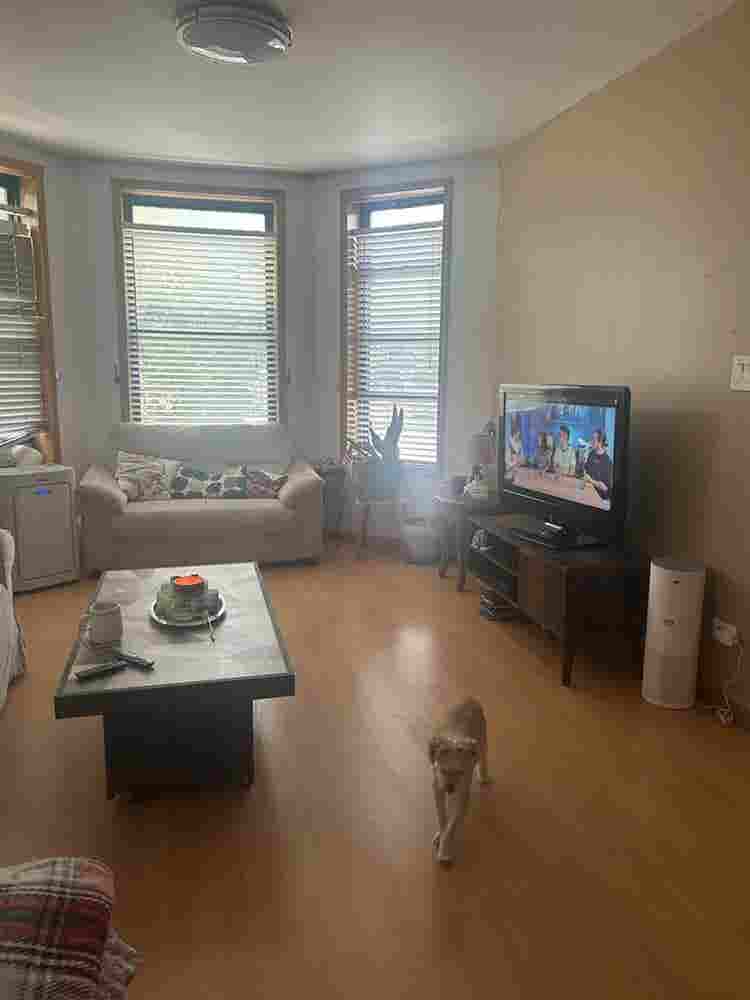 looking for a roommate for sept