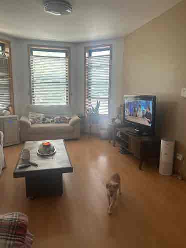 looking for a roommate for sept