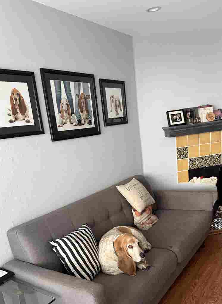 Cozy quiet furnished 1 bed & bath