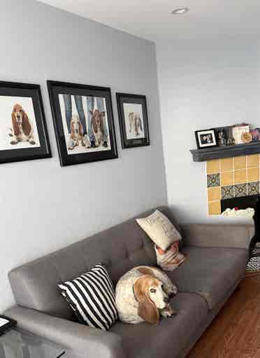 Cozy quiet furnished 1 bed & bath