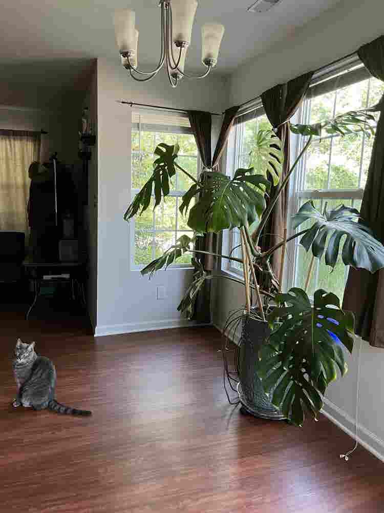 ✨
Immediate Move In Available ✨