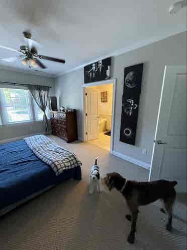 2 story townhome, bath