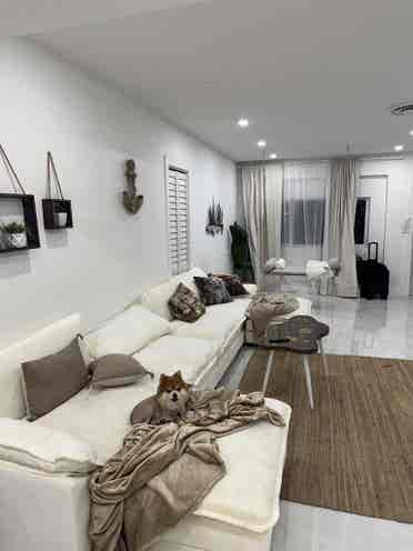 Beautiful house with 1 female only