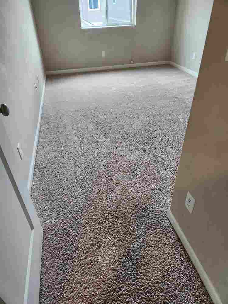 Large home for rent