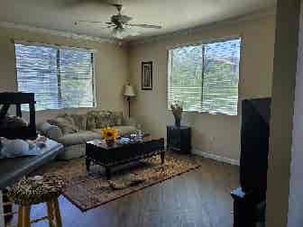 Room for Rent (South West)