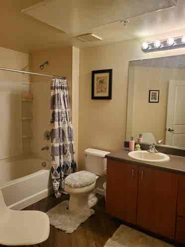 Room for Rent (South West)