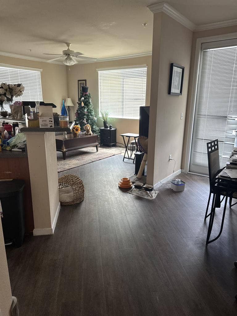 Room for Rent (South West)