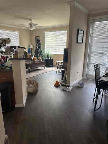 Room for Rent (South West)