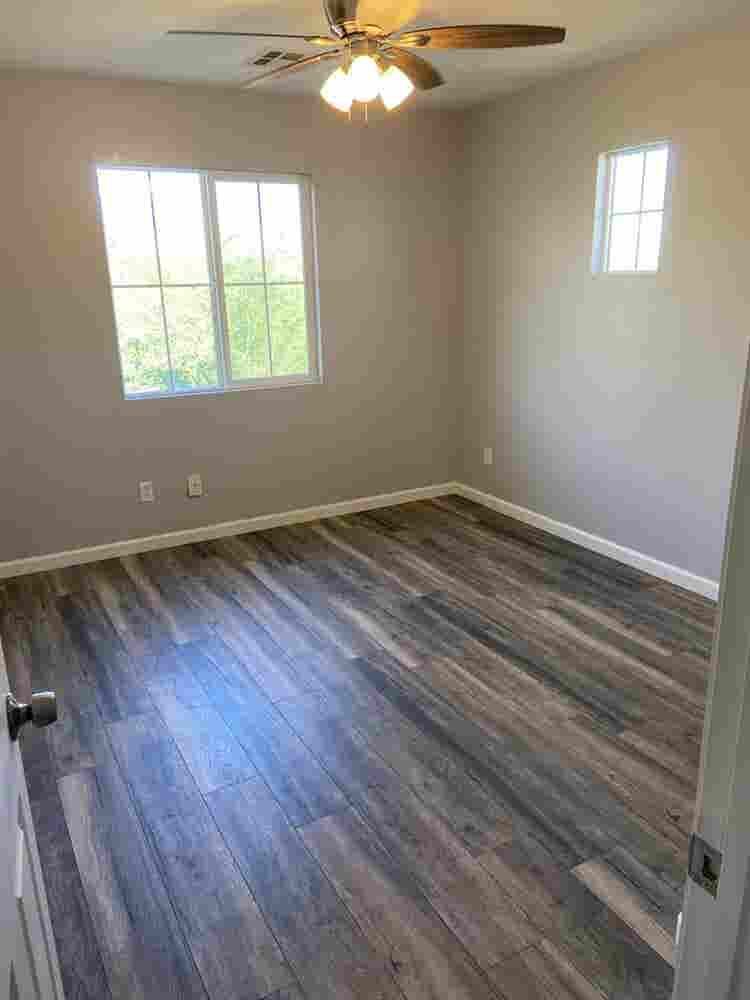 Looking for a roommate