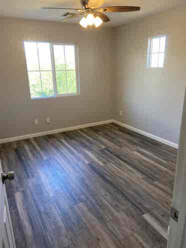 Looking for a roommate