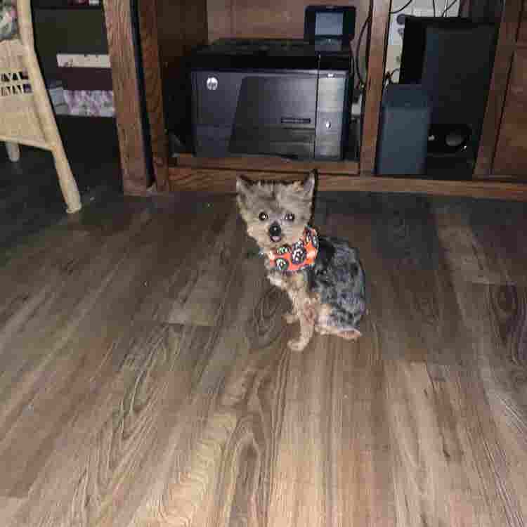 New Listing