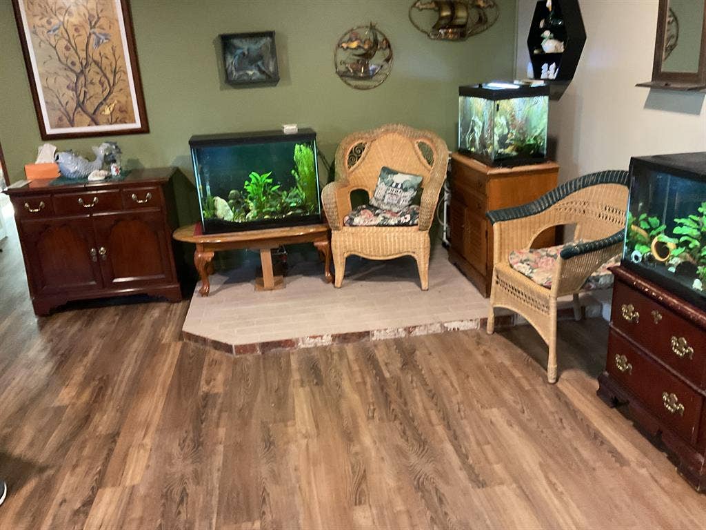 New Listing