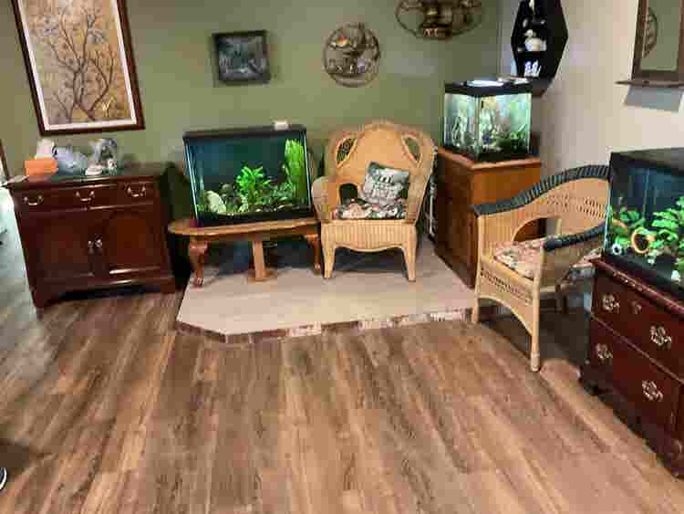 New Listing