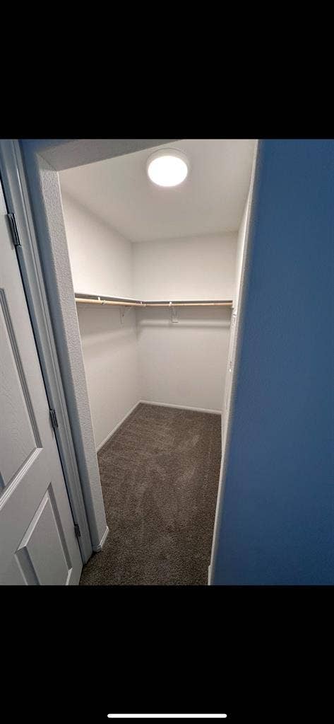 Master bedroom for rent!!