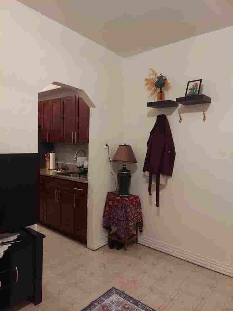 Join our cozy apt in Bushwick