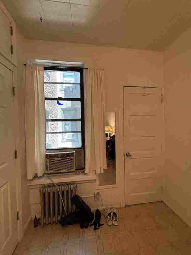 Join our cozy apt in Bushwick