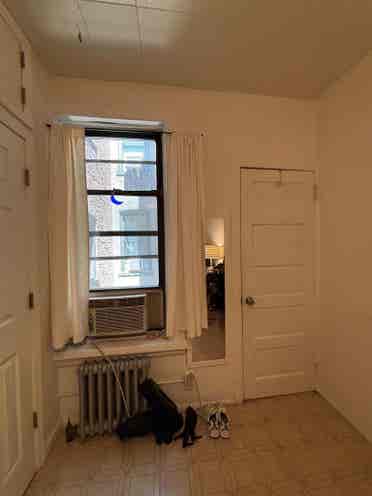 Join our cozy apt in Bushwick