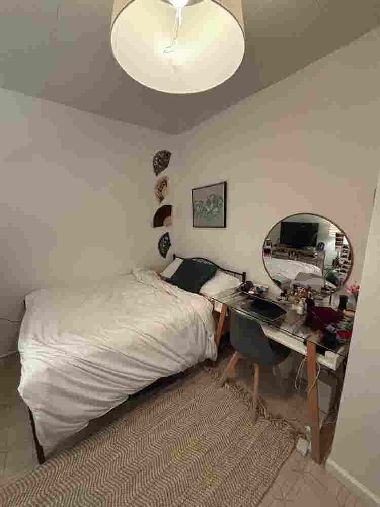 Join our cozy apt in Bushwick