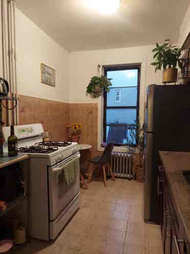Join our cozy apt in Bushwick