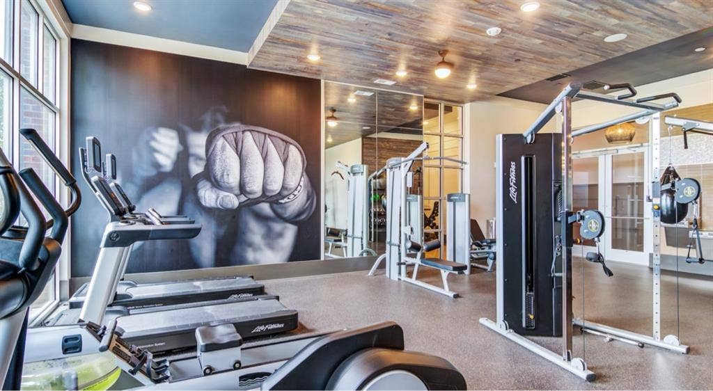 Room Available in Luxury Apartment