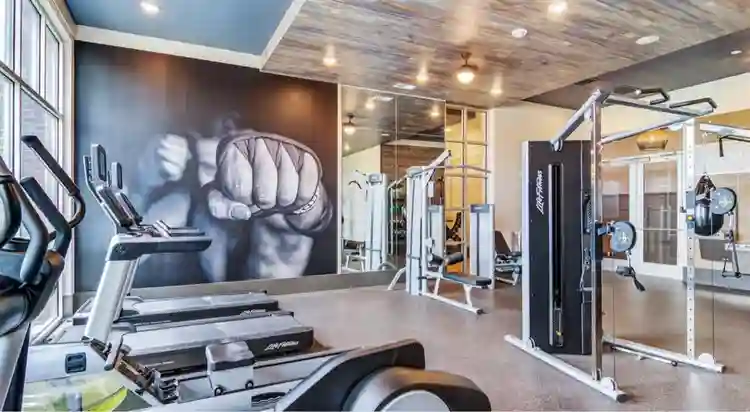 Room Available in Luxury Apartment