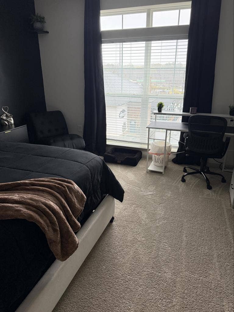 Room Available in Luxury Apartment