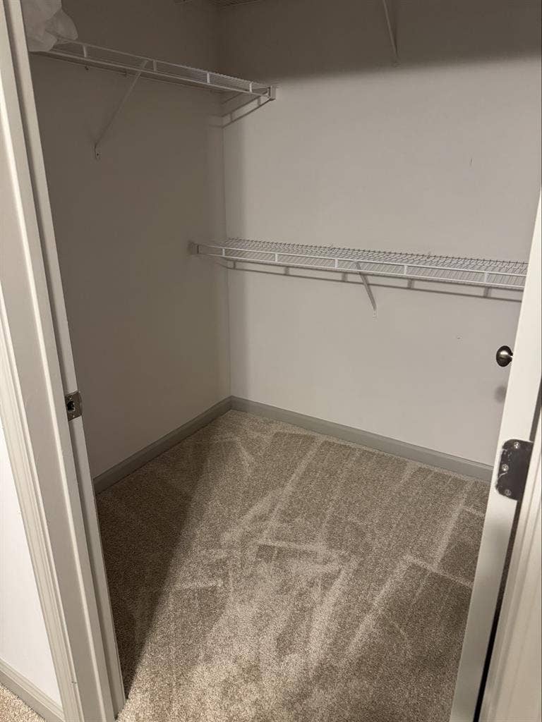 Room Available in Luxury Apartment