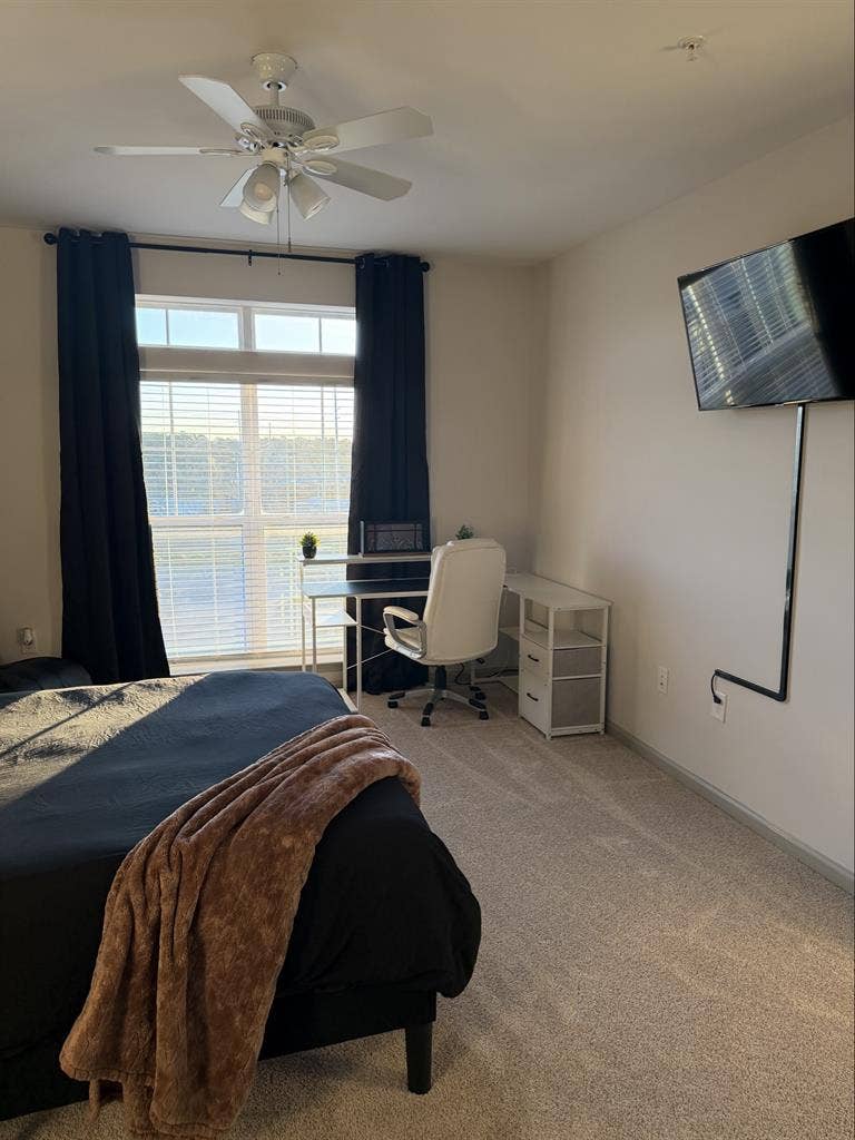 Room Available in Luxury Apartment