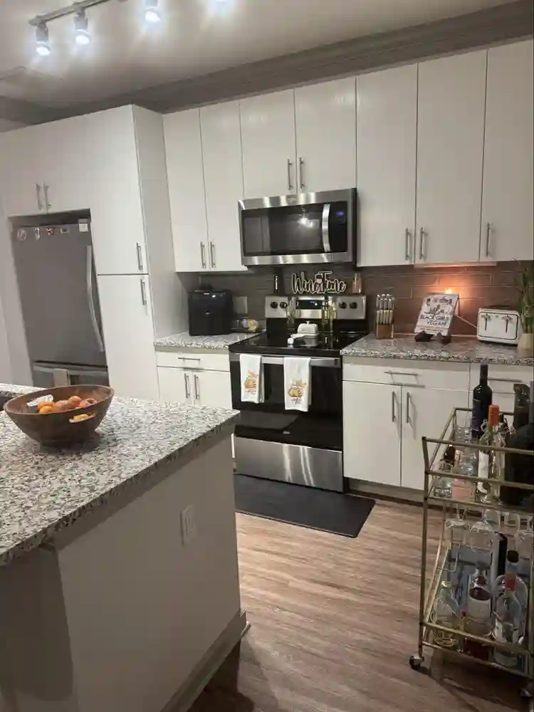 Room Available in Luxury Apartment