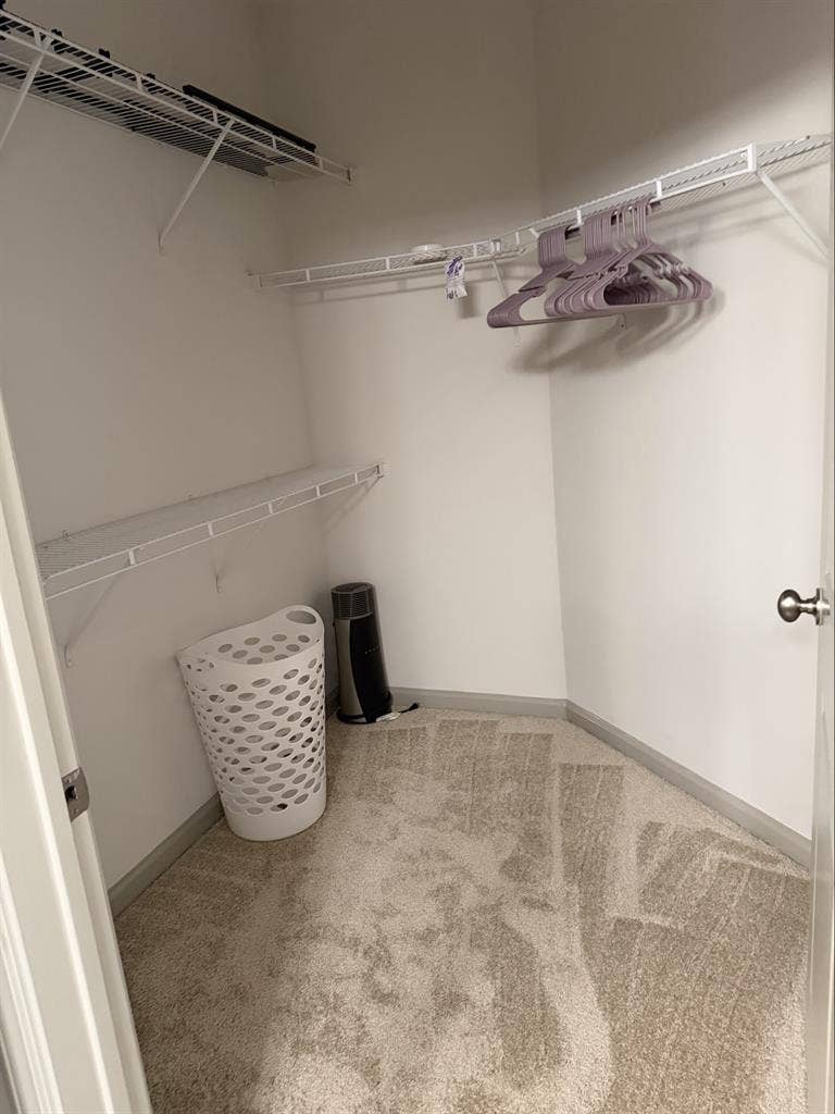 Room Available in Luxury Apartment