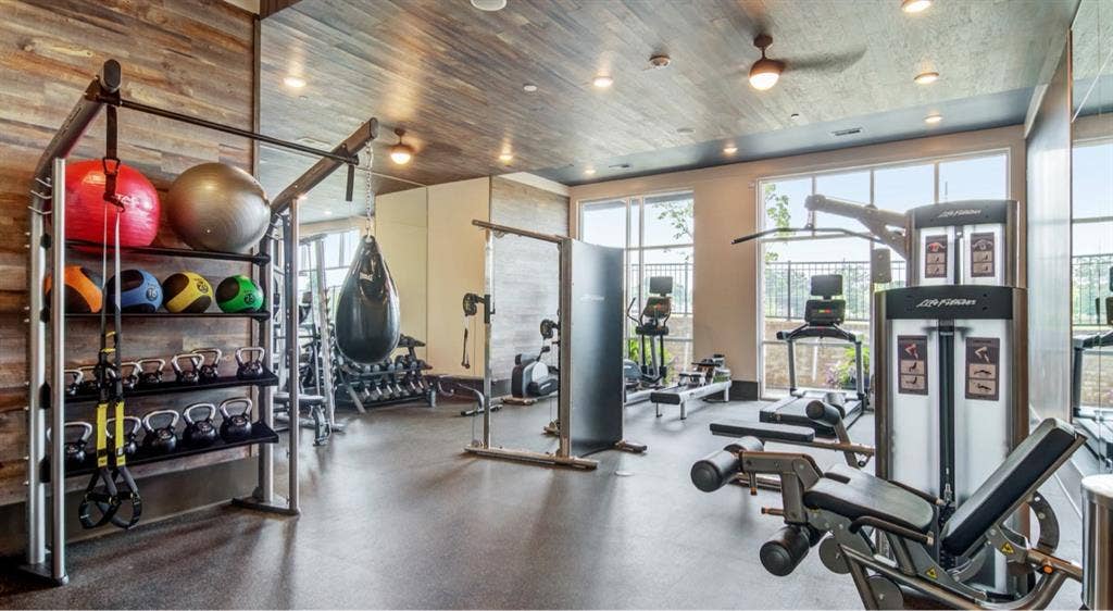 Room Available in Luxury Apartment