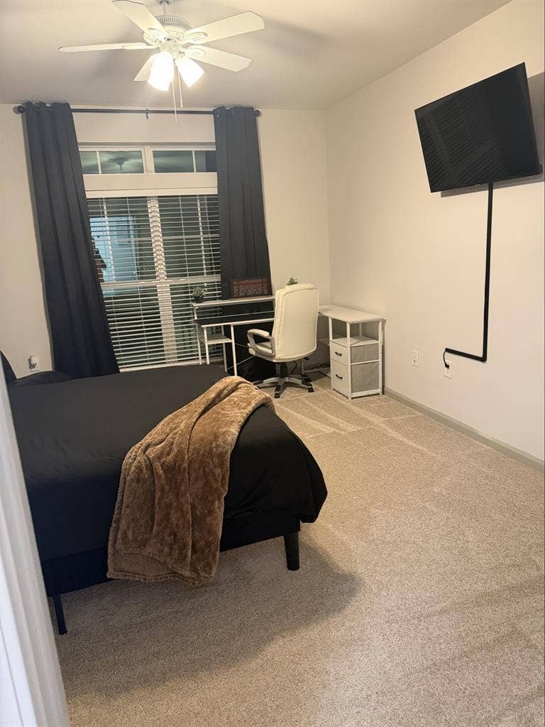 Room Available in Luxury Apartment