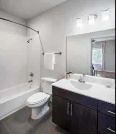 Vie Lofts Apartment sublease!