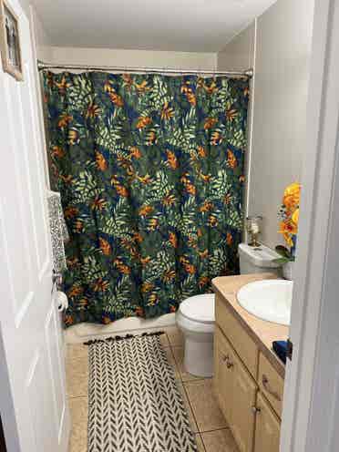 Big room for Rent