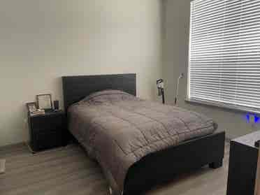 Austin Apartment for Rent