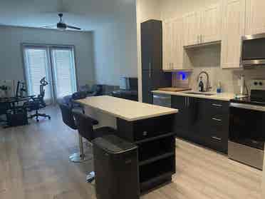 Austin Apartment for Rent